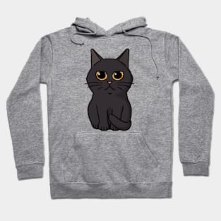 Black cat Hoodie